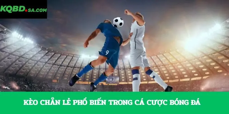 Kèo chẵn lẻ phổ biến trong cá cược bóng đá